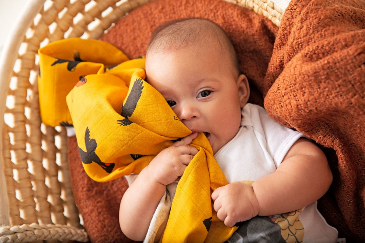 Australian Made Organic Muslin Wrap Black Cockatoo Baby wrap