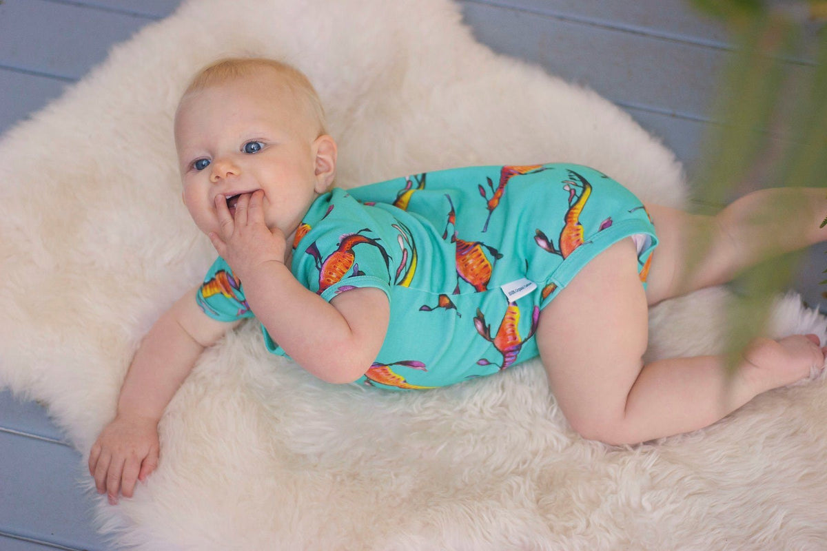 Organic baby clothing Australia Onesies Weedy Sea Dragon Dusty Road Apparel